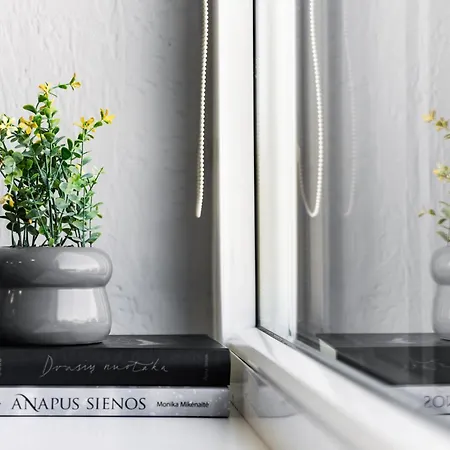 Taikos Apartamentai Apartament Kłajpeda